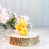 CANDLE006 1