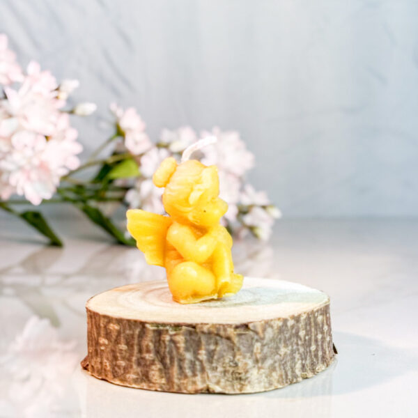 CANDLE006 1