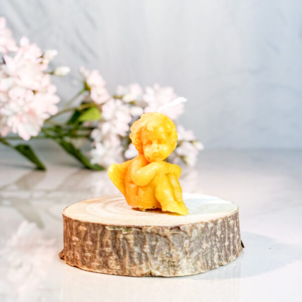 CANDLE006 2