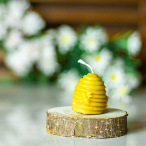 CANDLE008 CANDLE008