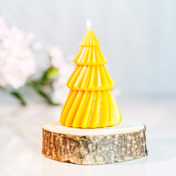 CANDLE010 1