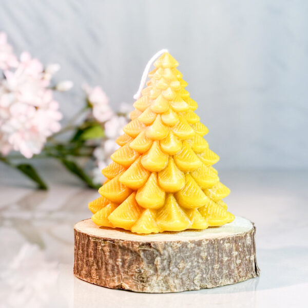 CANDLE010 2