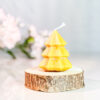 CANDLE010 3