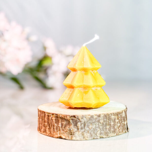 CANDLE010 3
