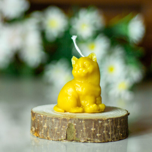 CANDLE009 3
