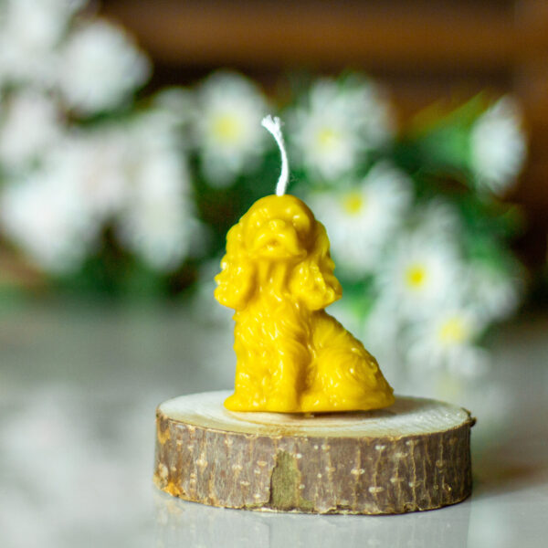 CANDLE009 4